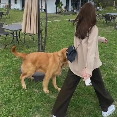 驱逐